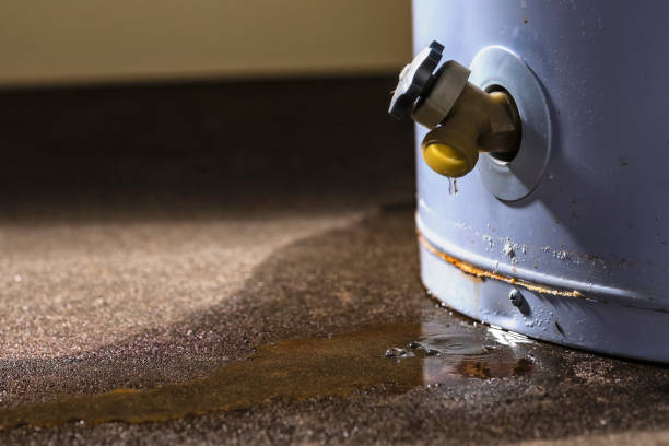 Local water damage restoration in OR