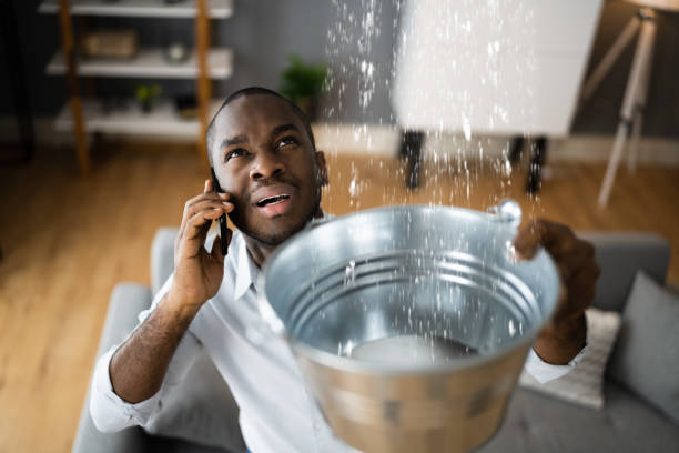 Best Professional water damage repair  in Lebanon, OR