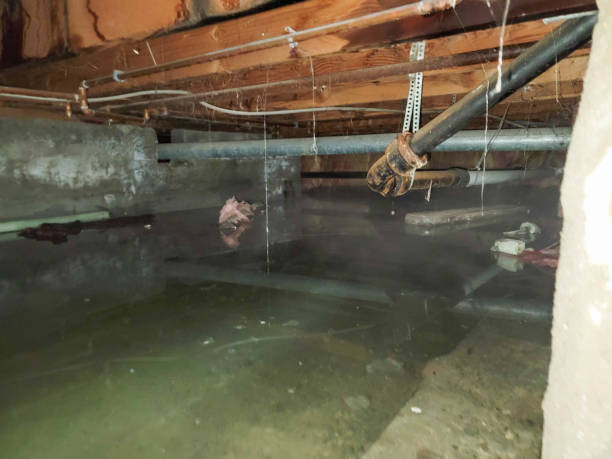 Best Commercial water damage restoration  in Lebanon, OR