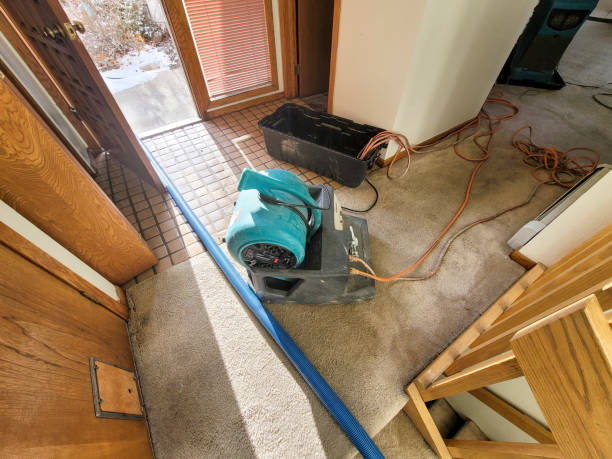 Best Water damage contractors near me  in Lebanon, OR