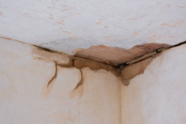 Best Carpet water damage restoration  in Lebanon, OR