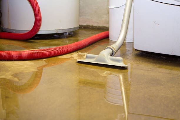 Best Water damage restoration mold remediation  in Lebanon, OR